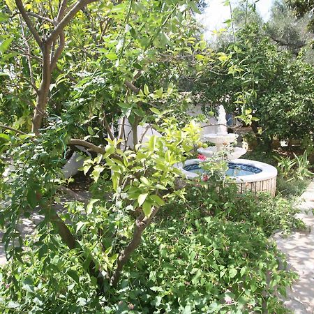 Villa Aphrodite Nissaki Nisaki  Zewnętrze zdjęcie